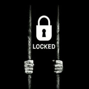 کانال فیلم برتر